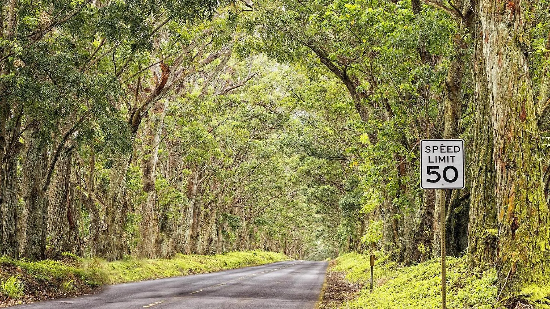 Makanui Estate Koloa Holiday home